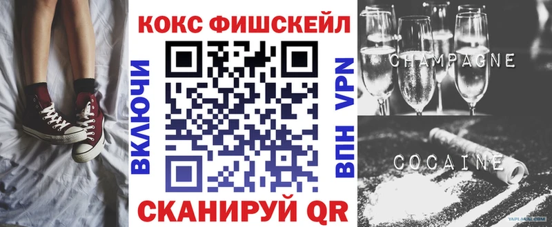 закладки  Москва  мега как войти  COCAIN Эквадор 