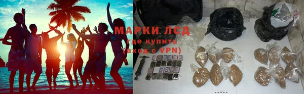 СК Дмитров