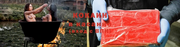 СК Дмитров