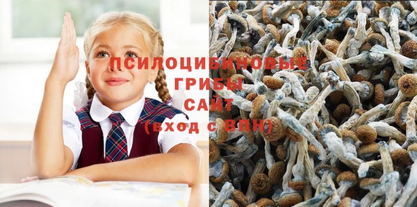 меф VHQ Дмитриев