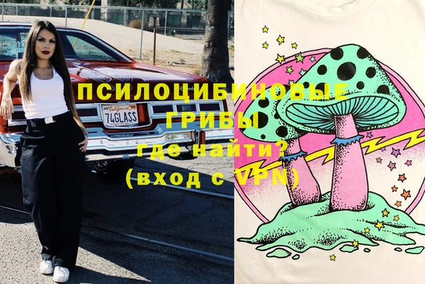 СК Дмитров
