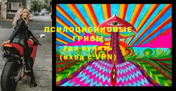 меф VHQ Дмитриев