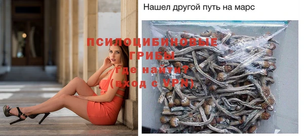 меф VHQ Дмитриев