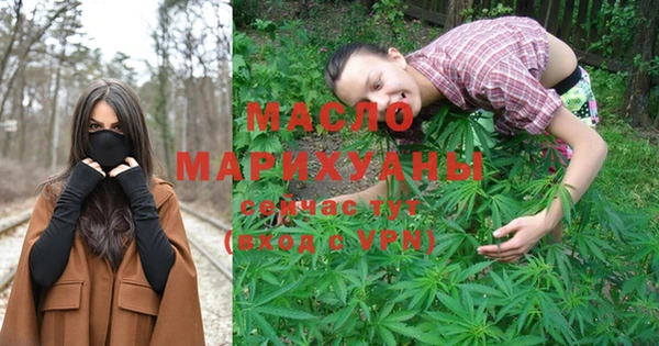 СК Дмитров