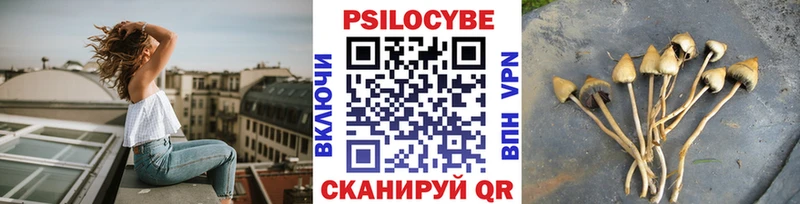 Псилоцибиновые грибы MAGIC MUSHROOMS  Москва 